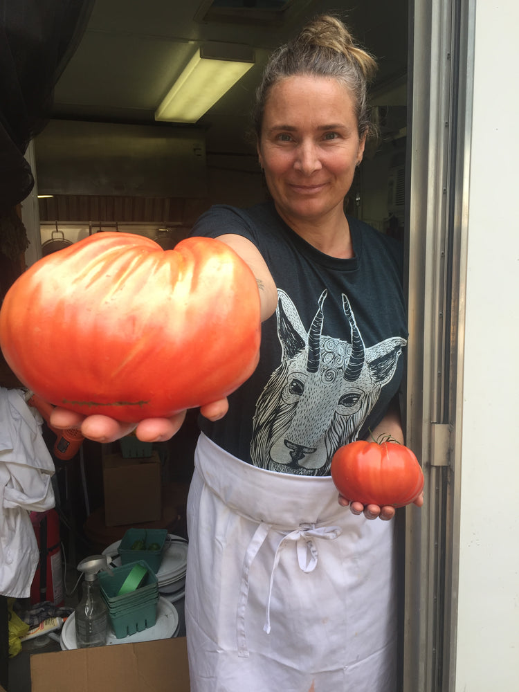 Tomates anciennes de Revelstoke