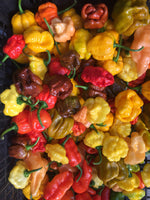 Mixed Superhot Peppers