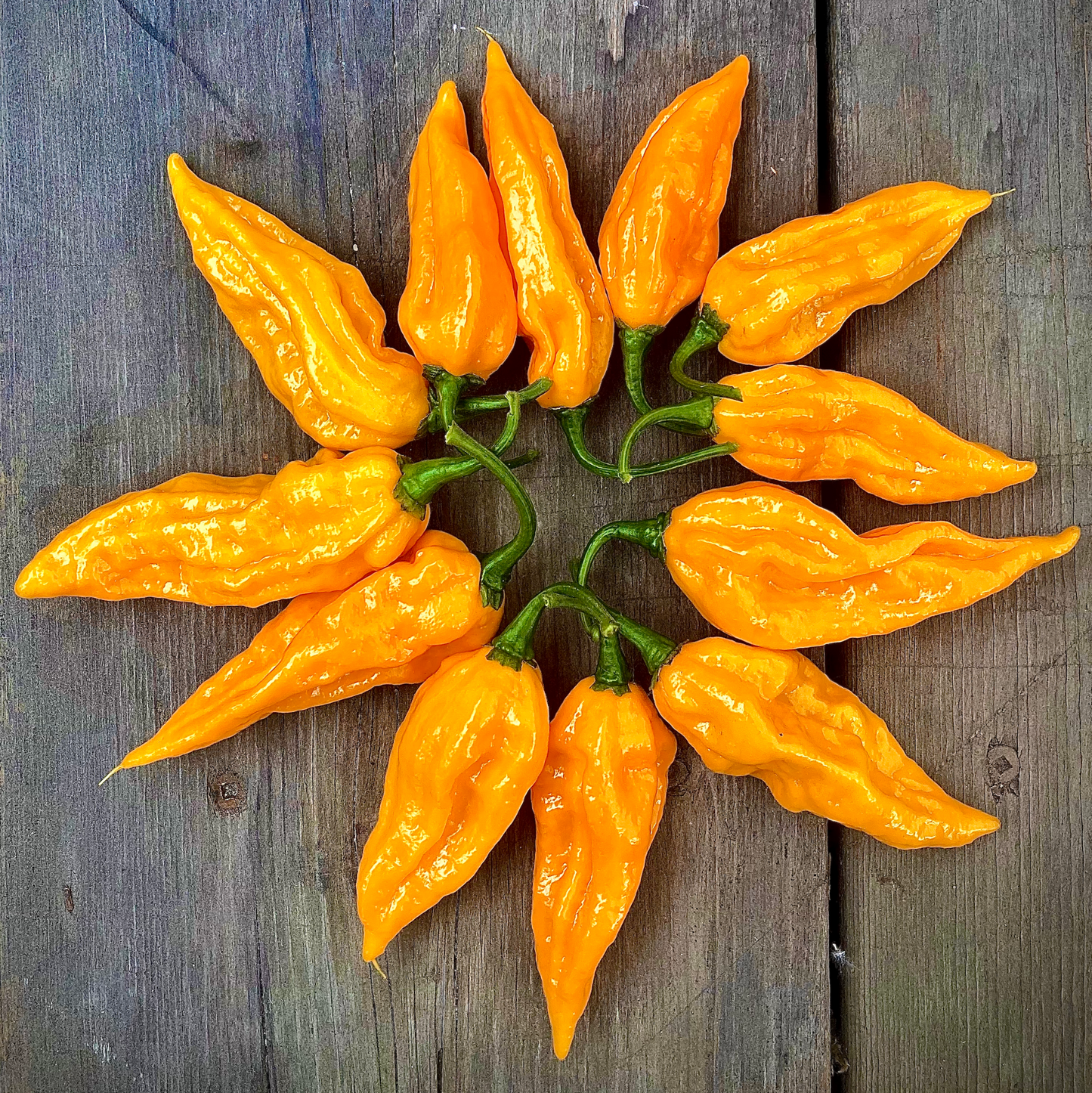 Arrangement of yellow chili peppers on a wooden surface